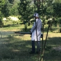 У Києві тимчасово закриють популярний парк: що відбуватиметься у «Перемозі»