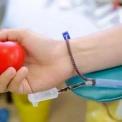 На Оболоні проведуть День донора для захисників: коли і як долучитися