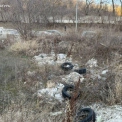 На Багриновій горі виявили 1500 квадратів сміття: водойма почала міліти