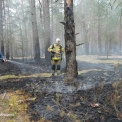 Понад 200 гектарів вигоріло на Київщині: ДСНС попереджає про масштабні пожежі в екосистемах