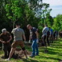 Горобина як символ незламності: у Києві з’явилася Алея Героїв у ботсаду імені Гришка
