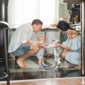 Київщина очолила рейтинг pet-friendly оренди: де в Україні найлегше зняти житло з тваринами