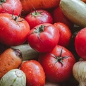 У шести районах Києва стартували ярмарки: де купити продукти дешевше сьогодні
