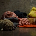 Під час атаки на Київ у метро укривалися 12,5 тисячі людей: що відомо