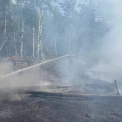 У Чорнобильській зоні після атаки дронів РФ знову спалахнула пожежа: що відомо
