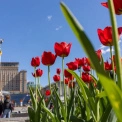 Погода у Києві 16 травня - хмарно без опадів