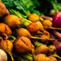 У Києві у вихідні пройдуть продуктові ярмарки: повний перелік локацій по районах