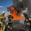 На Фастівщині спалахнула масштабна пожежа: вогонь охопив 120 гектарів міскантусу
