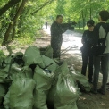 У Пущі-Водиці кияни вийшли на толоку проти забудови: як захищають віковий ліс