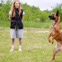 Holy Doggy Place у Києві відзначив річницю та анонсував рекорд для собак: фото