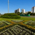 Квітковий код нації: київські комунальники висадили унікальні клумби-вишиванки