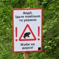 «Обережно, жаби!»: на дорогах Києва з’явилися нові знаки