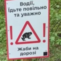 «Обережно, жаби!»: у Києві закликають берегти земноводних у Голосіївському лісі