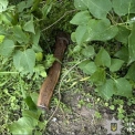 На Київщині чоловік напав із сокирою на сестру: потерпілу госпіталізували
