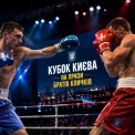 У День Києва відбудеться фінал турніру з боксу «Кубок Києва» на призи братів Кличків