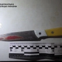 У Києві жінка смертельно поранила знайомого ножем під час застілля