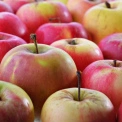 У Києві опублікували графік продуктових ярмарків з 2 по 7 червня: повний перелік локацій