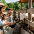 Контактні ферми під Києвом: де погодувати тварин і відпочити на природі