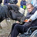 КиївЗоо розширює безбар’єрний простір: у зоопарку провели тренінги для роботи з ветеранами