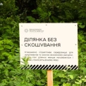 Чому в Києві залишають ділянки без скошування трави: пояснення «Київзеленбуду»