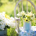 Погода у Києві 11 червня: до +27°C, сонце та без опадів
