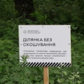 Баланс між косою та екологією: у Києві збільшили площу диких луків і територій без скошування трави