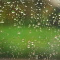Дощі та до +21°C: якою буде погода у Києві на вихідних