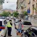 У Києві водіям нагадали про штрафи за паркування на місцях для людей з інвалідністю