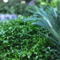 У Києві цього тижня пройдуть продуктові ярмарки: повний перелік локацій у районах