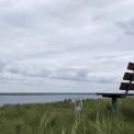 Погода в Києві на середу, 24 червня: хмарно, до +28°C і без дощу