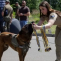 У Києві провели військовий K9-забіг із собаками: встановлено рекорд України