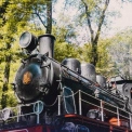 До Дня Конституції у Києві запустять ретропоїзд на справжньому паровозі: розклад і деталі