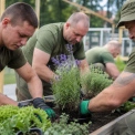 У Києві військових реабілітують через садівництво та риболовлю: як працює нова методика
