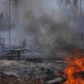 У Києві та області оголошено надзвичайний рівень пожежної небезпеки 30 червня 2026