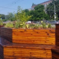 У двох районах Києва облаштовують зелені зони після демонтажу МАФів