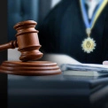 Верховний Суд розгляне справу забудови дубового лісу в Бучі