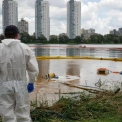 Озеро Кирилівське після атаки РФ: із водойми вже відкачали 65 тонн нафти