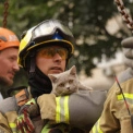 У Києві після обстрілу врятували кота з пошкодженої квартири: зворушливі фото