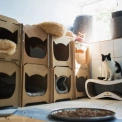 У Gostomel Shelter проведуть благодійну толоку для допомоги тваринам