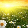 Погода у Києві на 15 липня: до +28°C і короткий дощ удень
