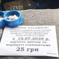 У Києві дорожчає не лише комунальний транспорт: маршрутки підвищують ціни на проїзд