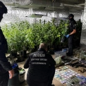 Спецоперація «Джентльмени»: у Києві та 23 областях затримали 34 підозрюваних