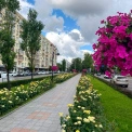 На бульварі Лесі Українки в Києві висадять нові квіти: як оновлюють зелені зони