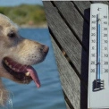 Погода у Києві на 19 липня: спека до +30°C, але без опадів