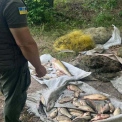 На Київщині виявили порушення правил рибальства на понад 559 тисяч гривень