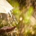 Погода у Києві на 20 липня: грози, сильні дощі та до +24°C
