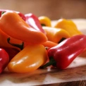 Продуктові ярмарки у Києві 21–26 липня: повний перелік адрес