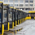 У Києві пропонують скоротити громадський транспорт на 50%: зареєстровано петицію