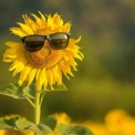 Погода у Києві на 23 липня: до +23°C, мінлива хмарність і без опадів