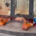 Невідомі підкинули свинячі голови до салону G×Bar у Києві - поліція шукає причетних